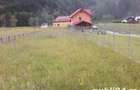 Teren 1000mp Cheia-Prahova-Valea Stanii-Telejenel - 6