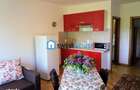 Apartament 2 camere de inchiriat Dealul Cetatii