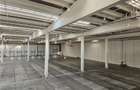 Spatii Industriale - 10000 mp - Logistica - Productie - Depozitare - Distributie - 3