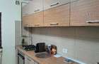 Apartament cu 2 camere decomandat în Abator - 5