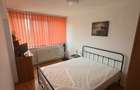 Inchiriere apartament 2 camere Parcul National - 5
