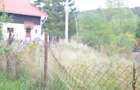 Teren Construcții de 1300 mp, în Valea Alba - 7