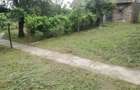 Ag BRASADAS vinde casa LOCUIBILA 3 cam teren 5.000 mp HOREA. - 7