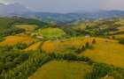 Teren Construcții de 11600 mp, în Poiana Mărului - 2
