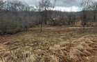 Particular vand teren intravilan construibil 1360 mp. in Breaza Valea Tarsei 14euro/mp. - 6