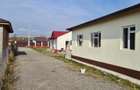 Casă cu Teren 350 Mp în Cojasca - 8