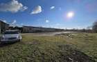 Teren in suprafata de 7774 intravilan | Constructi in suprafata de 1029 mp - 16