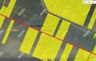 Teren INTRAVILAN oras Magurele, 1.000 mp, deschidere 34,5 m - 3