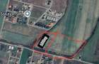Teren agricol extravilan de 5000 mp, în Moșnița Nouă - 2