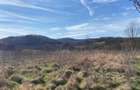 Teren Intravilan 2579 m2 in Mereteu, Vintu de Jos, Judetul Alba - 15 km de Alba Iulia - 5