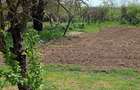 Casa la ?ara jud. Giurgiu, 4 camere, curte 4000 mp - 6