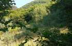 Teren de 700 mp, în Roșcani - 4