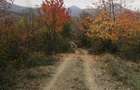Casă cu 3 camere cu Teren 40000 Mp în Bulzeștii de Sus - 3