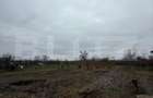 Proprietate completa in Sacuieni- Doua Case + Anexe - 7