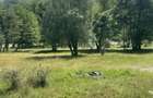 Teren intravilan in Brezoi, Valcea, Valea lui Stan - 3