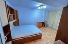 Apartament 2 camere, parter, mobilat, zona Gerald - 12