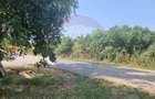Teren intravilan de 1300 mp, în Balotești - 4