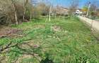 Teren Intravilan Oradea (Saldabagiu de Munte)Zona Hanul Pescarilor - 7