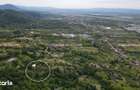 Casa de vanzare cu teren de 74 ari Cicarlau, jud. Maramure? - 6