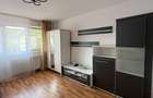 Apartament de vanzare, 2 camere, 45 mp, Grigorescu zona Donath - 5