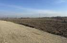 Teren Bod Brasov ideal 4.500 m2 - 4 loturi - 7