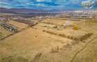 Teren extravilan de 5.800 mp in Sfantu Gheorghe:oportunitate - 6