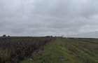 Teren Intravilan, 5221mp, Coliba?i, Giurgiu