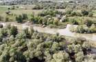 Apicola - Proprietate exclusiva in Delta Dunarii liniste absoluta, acces premium, potential investitional ridicat - 1