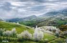 Resedinta pensiune, cu 1.000 mp teren, Pestera, Brasov - 4