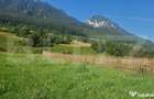 Teren Plaiul Foii, vedere spre muntii Bucegi si apa Barsa 10 - 8