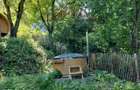 Casa de vacan?a deosebita cu ciubar si sauna - natura si relaxare - 19