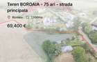 Teren BOROAIA - 75 ari - strada principala - 3