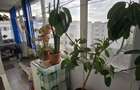 Apartament 2 camere progresul - 2