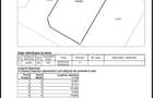 Comision 0% Teren de vanzare 705mp Dumbravita Pt. casa individuala - 2