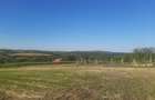 Teren 894 mp cu front stradal 18 m aproape de Oradea | Elado beltelek - 2