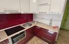 Apartament 1 camera de inchiriat Bulevardul Lucian Blaga - 2
