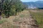 Teren de 934 mp, în Bartolomeu - 4