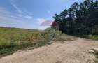 Teren intravilan 988mp | Cocani, Dambovi?a
