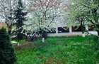 De inchiriat duplex cu 4 camere - ?o?eaua Barnova - 5