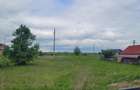 Teren intravilan 3600 mp Dumbrava Rosie 2 drumuri acces - 6