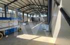 Spațiu industrial, de 600 mp, în Șura Mică - 9