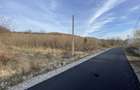 Loturi de teren de vanzare pe strada Salcamilor - 5