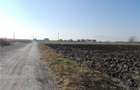 Inchiriez sau vand teren Halchiu - 6