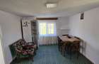 Teren intravilan de 13303 mp, în Neagra Șarului - 5