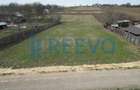 Teren de vanzare, Sat Bazga, Com. Horge?ti, Bacau - 1
