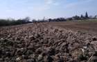 Vand 2300 m2 teren intravilan - 1