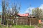 Casă cu 3 camere cu Teren 1476 Mp în Gruiu - 19