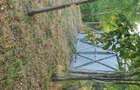 vind teren intravilan ,,URGENT'' - 3