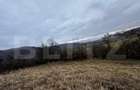 Teren extravilan 4300 mp, zona Criseni - Paclisa - 3