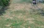 De vanzare casa, curte si gradina in ORASTIE - 5